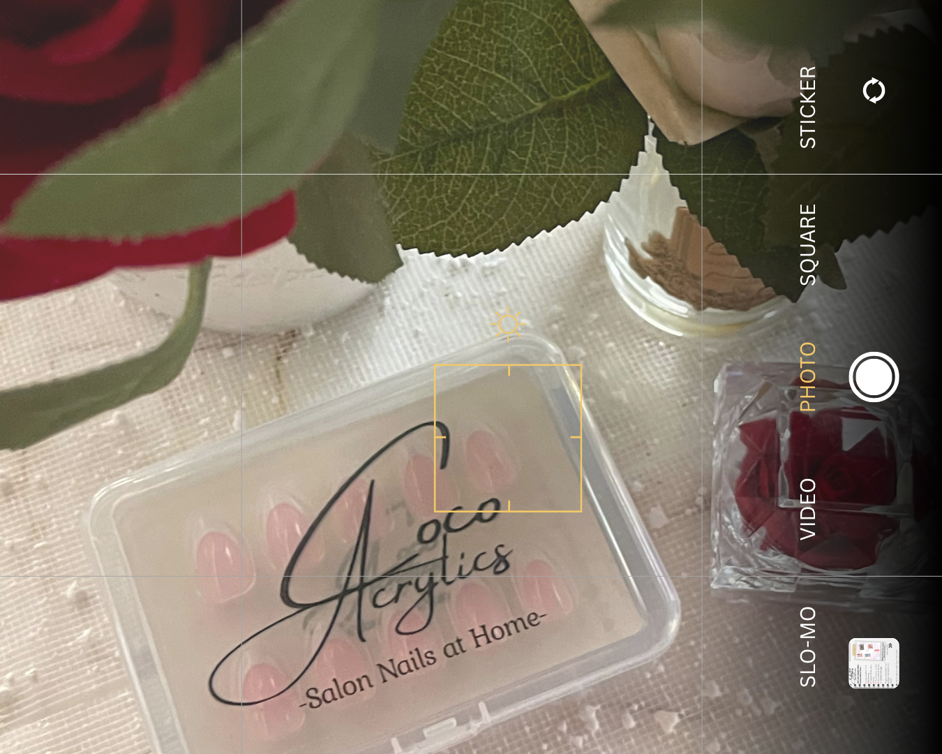 Coco Acrylics Classic Frenchie Kit, surrounded by red roses.